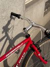 GT Outpost Trail (restomod stavba) - S/M