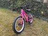 Trek Roscoe 20" růžové