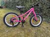 Trek Roscoe 20" růžové