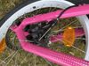 Trek Roscoe 20" růžové