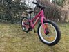 Trek Roscoe 20" růžové