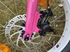 Trek Roscoe 20" růžové
