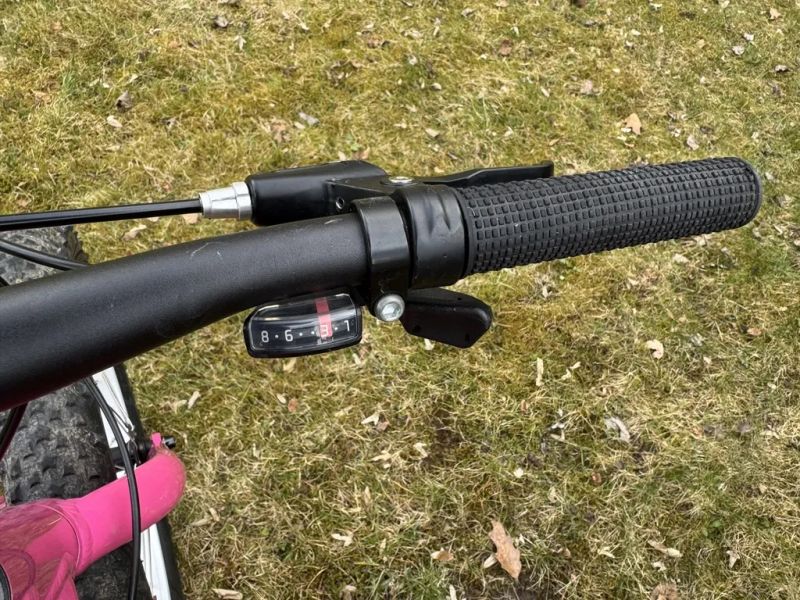 Trek Roscoe 20" růžové