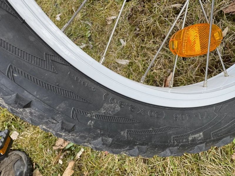 Trek Roscoe 20" růžové
