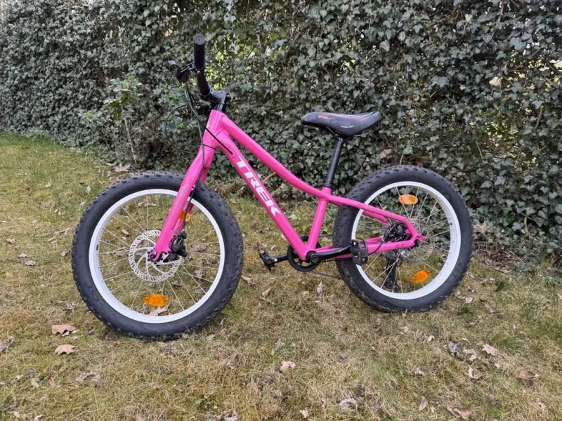 Trek Roscoe 20" růžové