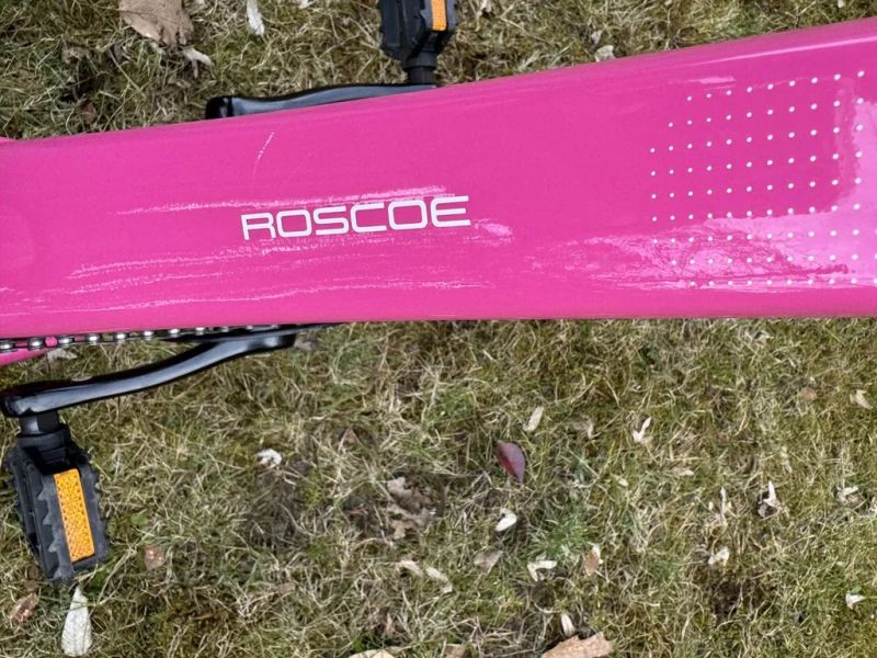 Trek Roscoe 20" růžové