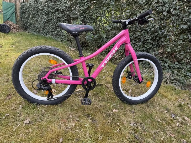 Trek Roscoe 20" růžové
