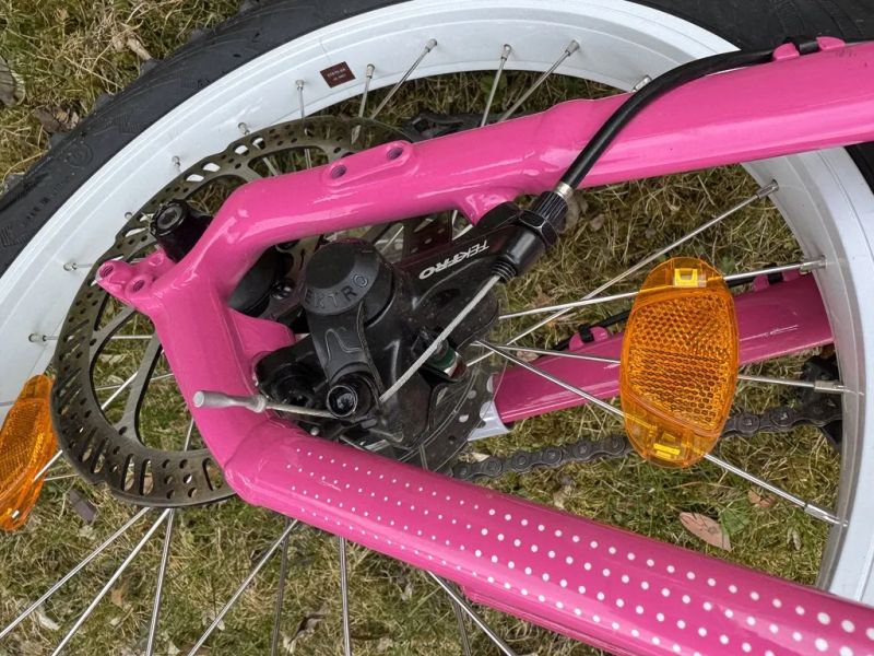Trek Roscoe 20" růžové