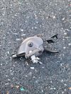 Shimano XT M8100 páčka I-Spec EV
