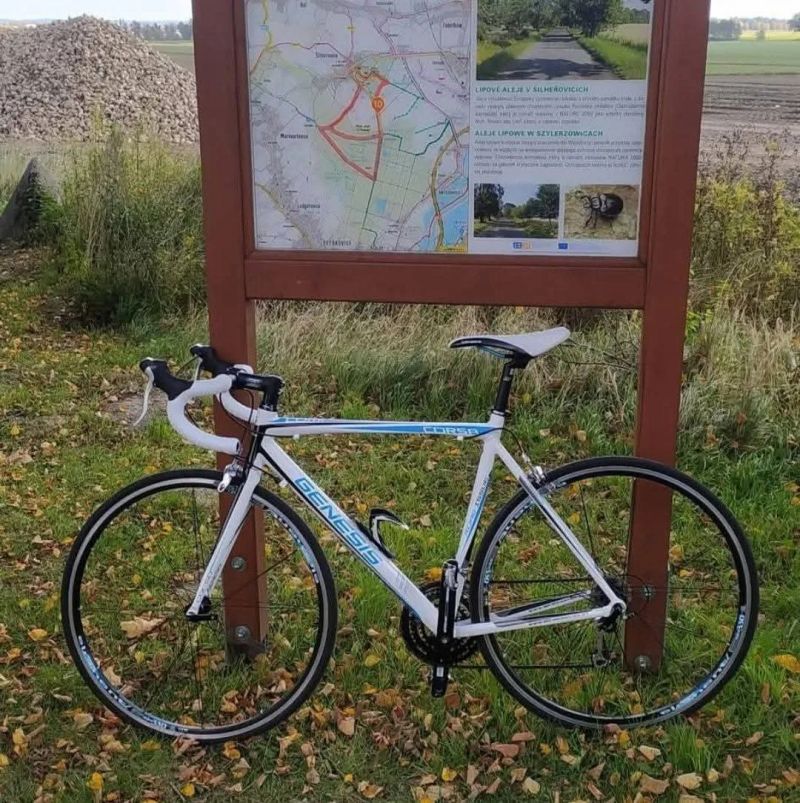 Genesis Corsa comp