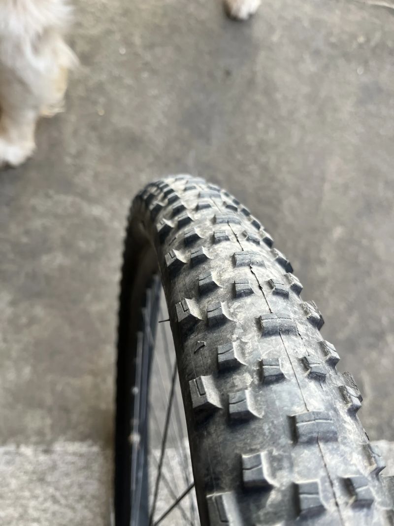 Specialized Epic HT Expert - XX1 AXS (45k), Roval Control Carbon, SID Brain