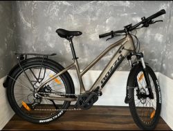 Rozzo Coral 780