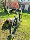 Trek Domane 6.9 Team Issue vel.56 ultegra Di2