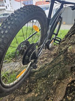 Specialized Riprock