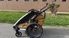 Thule Chariot Sport 2 single
