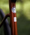 KTM Revelator Alto Master