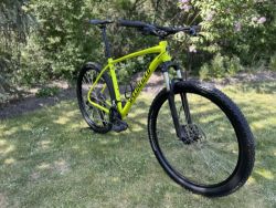 Specialized rockhopper 29" - XL