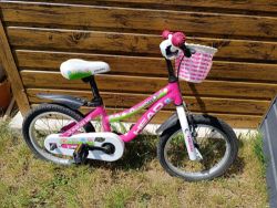 Head Junior 16"