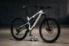 Rocky Mountain Element 2025 L