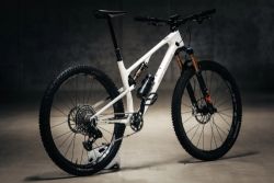 Rocky Mountain Element 2025 L
