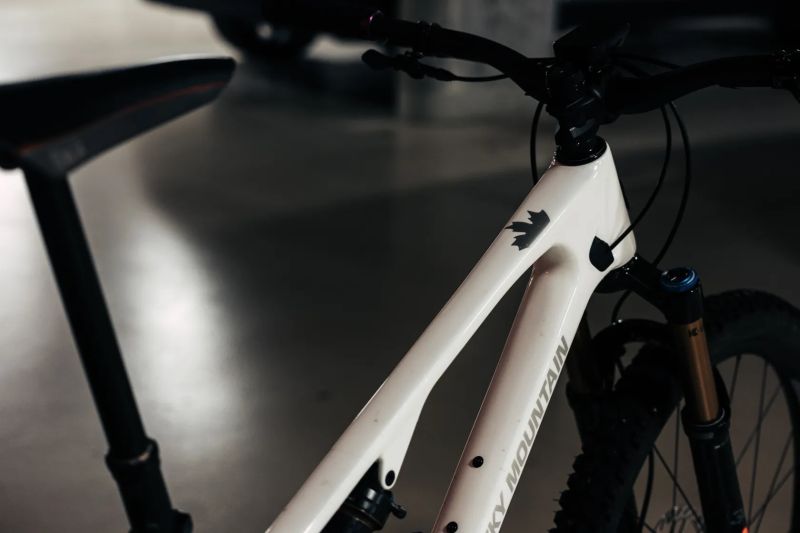 Rocky Mountain Element 2025 L