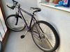Action Leader 281 rst Fox