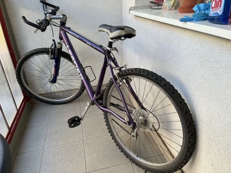 Action Leader 281 rst Fox