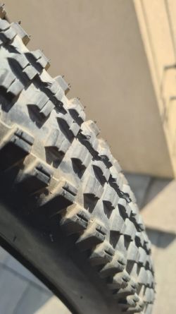 WTB TrailBoss 2.4 x 29"