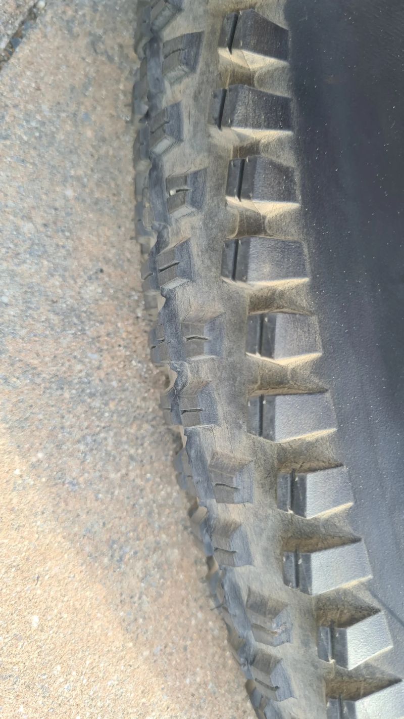 WTB TrailBoss 2.4 x 29"
