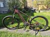 Kellys Tayen R10 P Pink 29" M