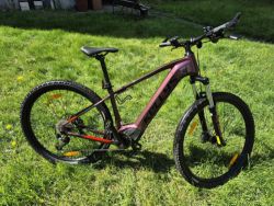 Kellys Tayen R10 P Pink 29" M