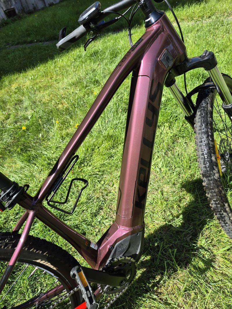Kellys Tayen R10 P Pink 29" M