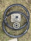 DT Swiss R23 spline db db disc