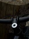 YT Industries Capra core 1