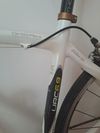 Kellys URC 6.9 Carbon