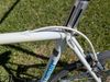 Moser