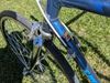 Moser
