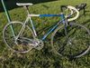 Moser