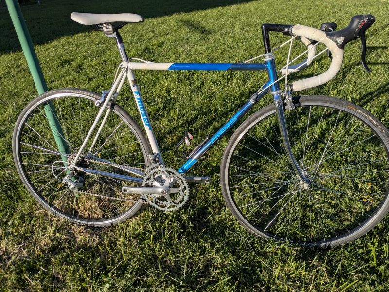 Moser