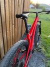 Trek Roscoe 6