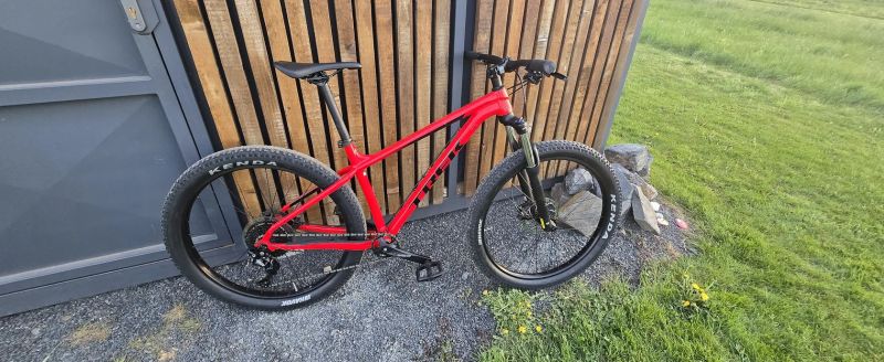 Trek Roscoe 6