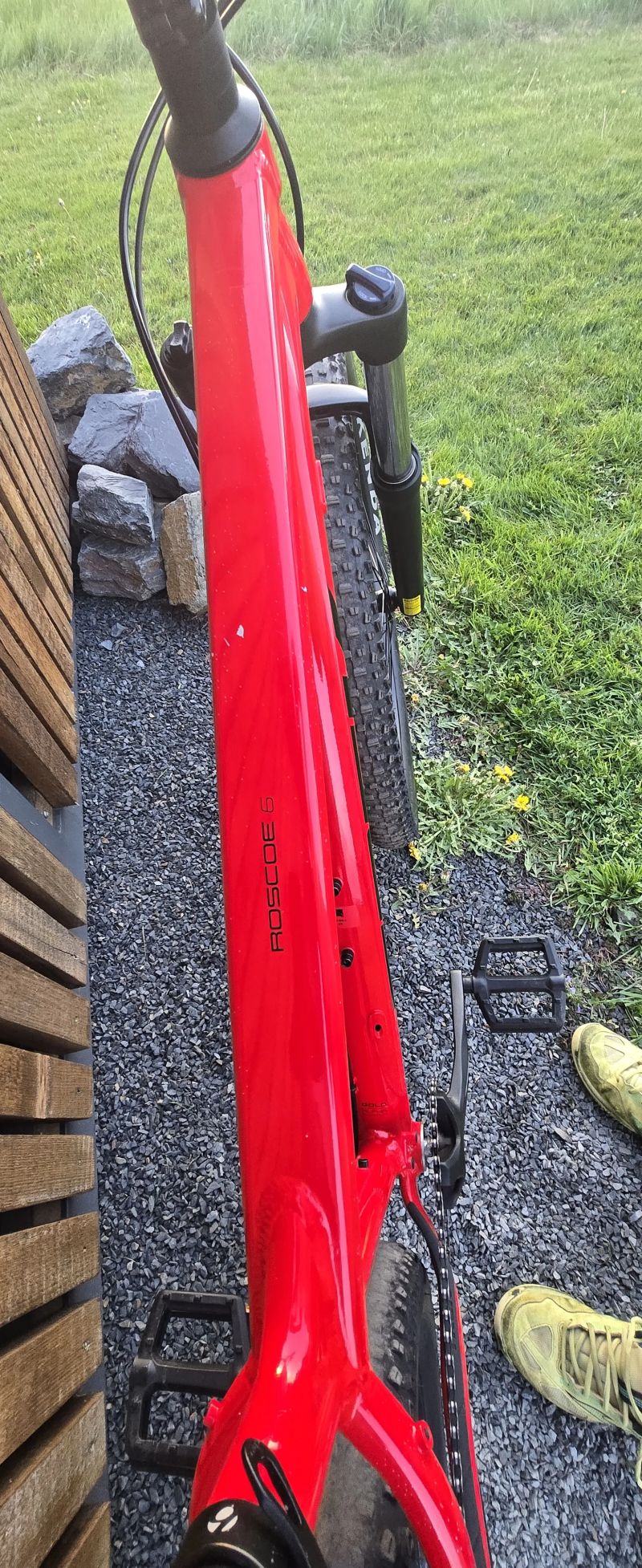 Trek Roscoe 6