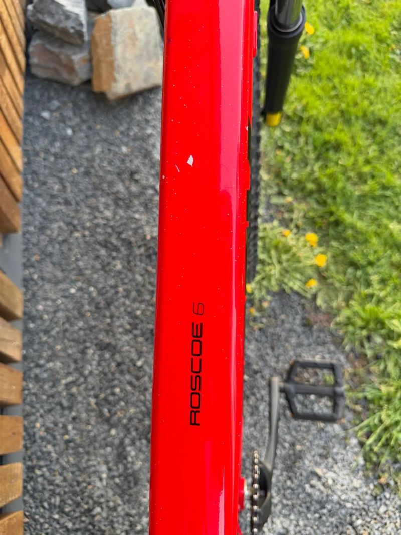 Trek Roscoe 6