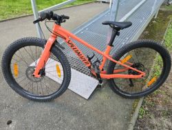 Specialized