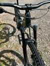 Giant Regin SX