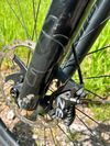 Giant Regin SX