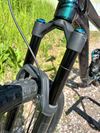 Giant Regin SX