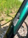 Giant Regin SX