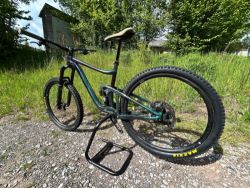 Giant Regin SX