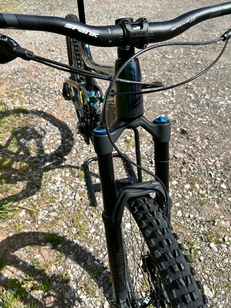 Giant Regin SX
